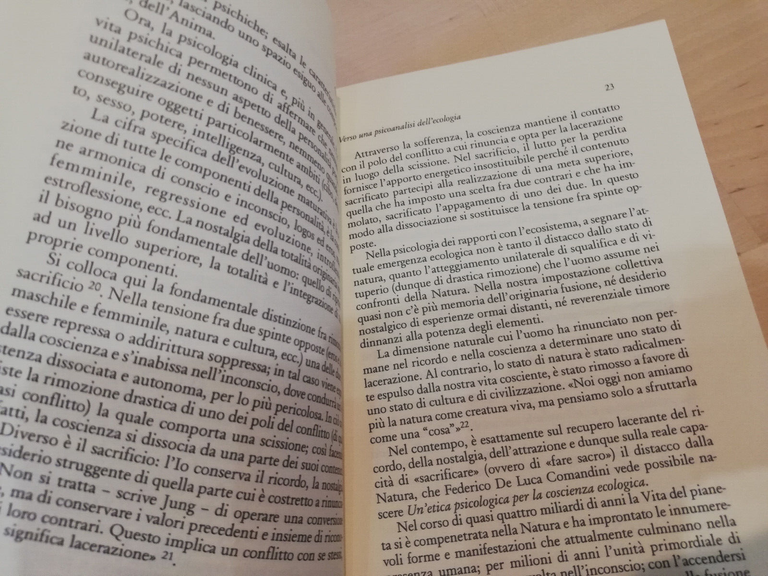 Ecologicamente. Psicologia del rapporto uomo-ambiente, Claudio Widmann 1997