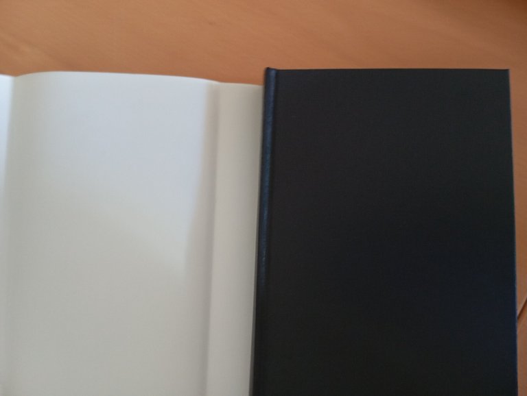 Einstein è vissuto qui, Abraham Pais, Bollati Boringhieri, 1995