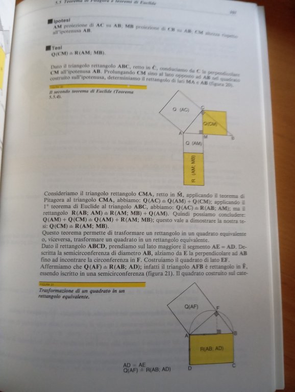 Elementi di geometria, Federico Enriques - Ugo Amaldi, Zanichelli, 1991