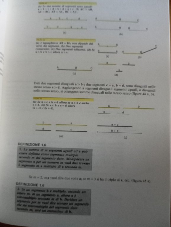 Elementi di geometria, Federico Enriques - Ugo Amaldi, Zanichelli, 1991