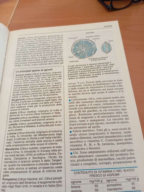 Enciclopedia della scienza e della tecnologia, De Agostini, 1995