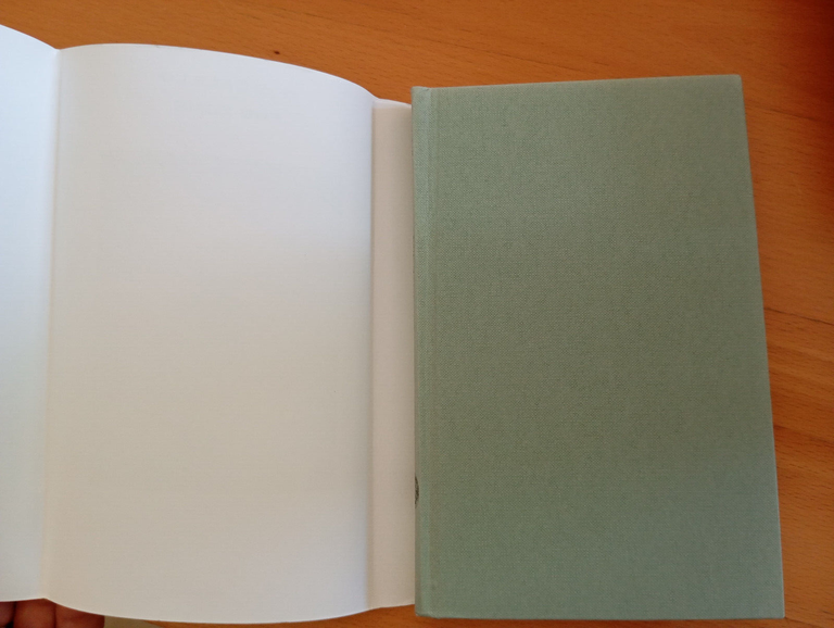 End Zone, Don Delillo, Einaudi, 2014