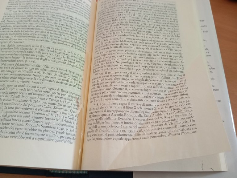 Eneide, Publio Virgilio Marone, Einaudi NUE, 2012 | Immagine Gallery 10