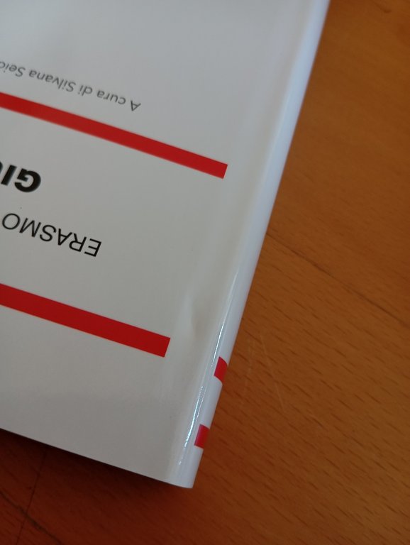 Erasmo da Rotterdam, Giulio, Einaudi NUE, 2014 | Immagine Gallery 4