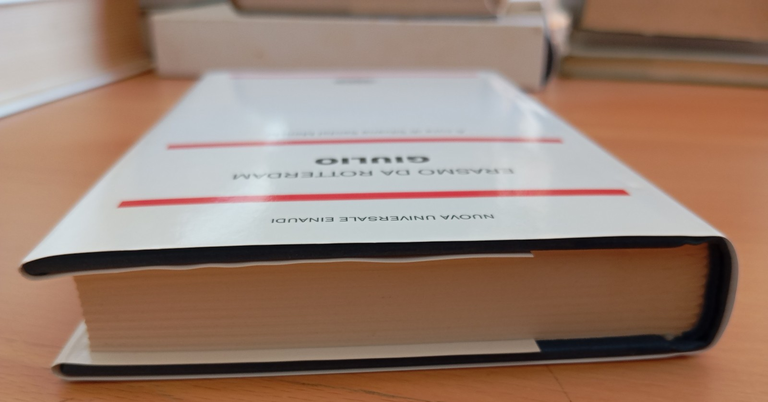 Erasmo da Rotterdam, Giulio, Einaudi NUE, 2014 | Immagine Gallery 5