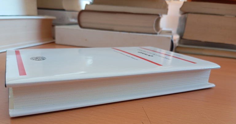 Erasmo da Rotterdam, Giulio, Einaudi NUE, 2014 | Immagine Gallery 6