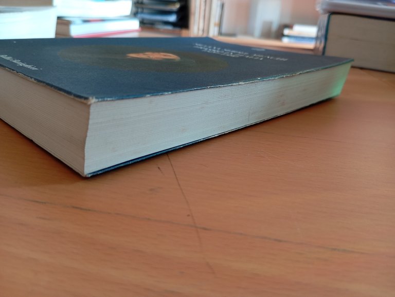 Erasmo in Italia 1520-1580, Silvana Seidel Menchi, Bollati Boringhieri, 1987 | Immagine Gallery 5