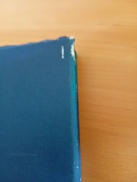 Erasmo in Italia 1520-1580, Silvana Seidel Menchi, Bollati Boringhieri, 1987 | Immagine Gallery 8