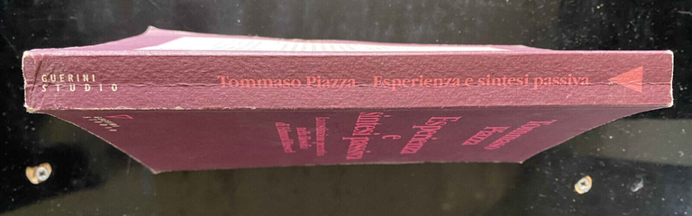 Esperienza e sintesi passiva, Tommaso Piazza, Guerini, 2005