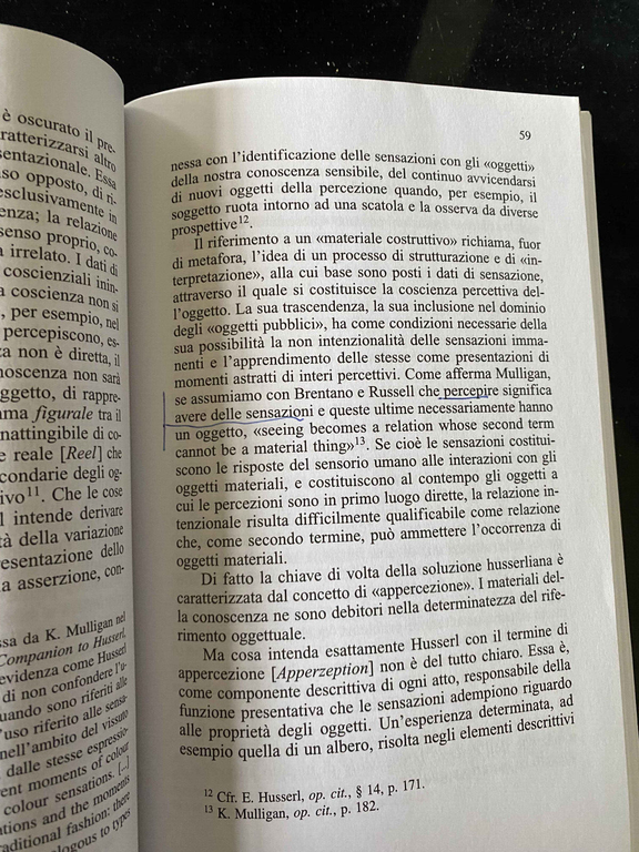 Esperienza e sintesi passiva, Tommaso Piazza, Guerini, 2005
