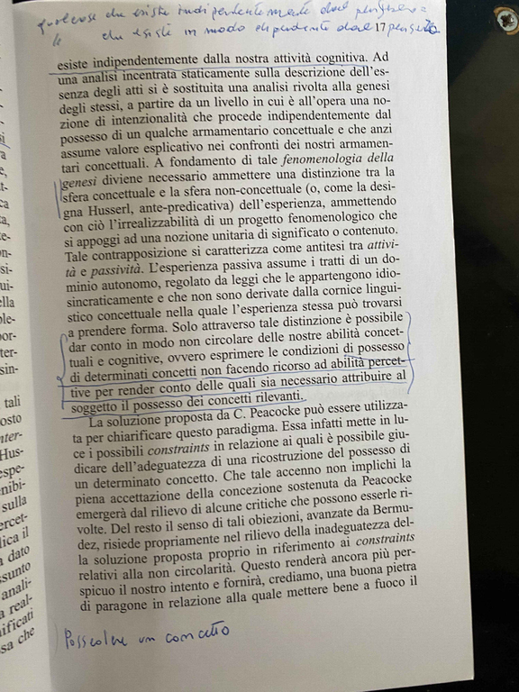 Esperienza e sintesi passiva, Tommaso Piazza, Guerini, 2005