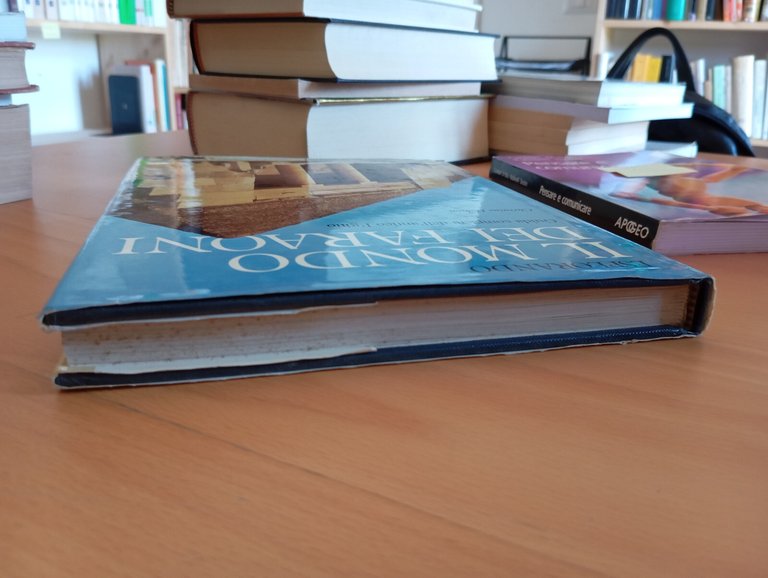 Esplorando il mondo dei faraoni, Christine Hobson, De Agostini