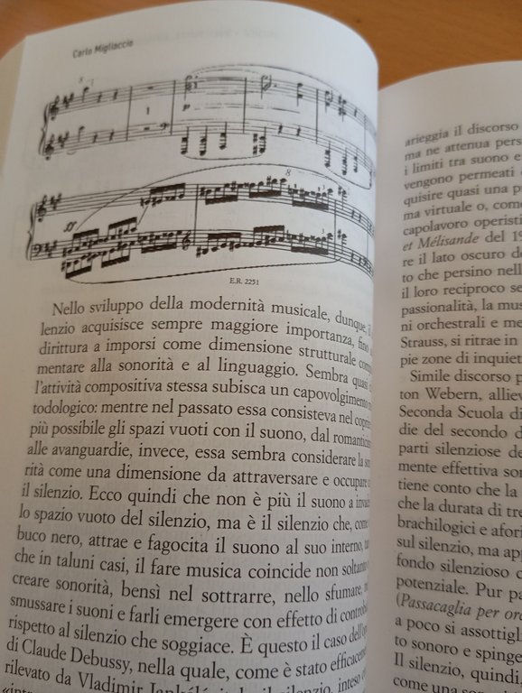 Esplorare il silenzio, Nicoletta Polla-Mattiot, Enrico Damiani, 2019