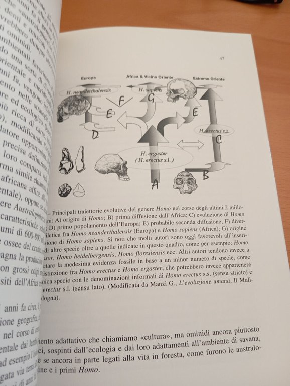 Evoluzione. Come, dove, Quando?, Accademia Nazionale dei Lincei, 2010