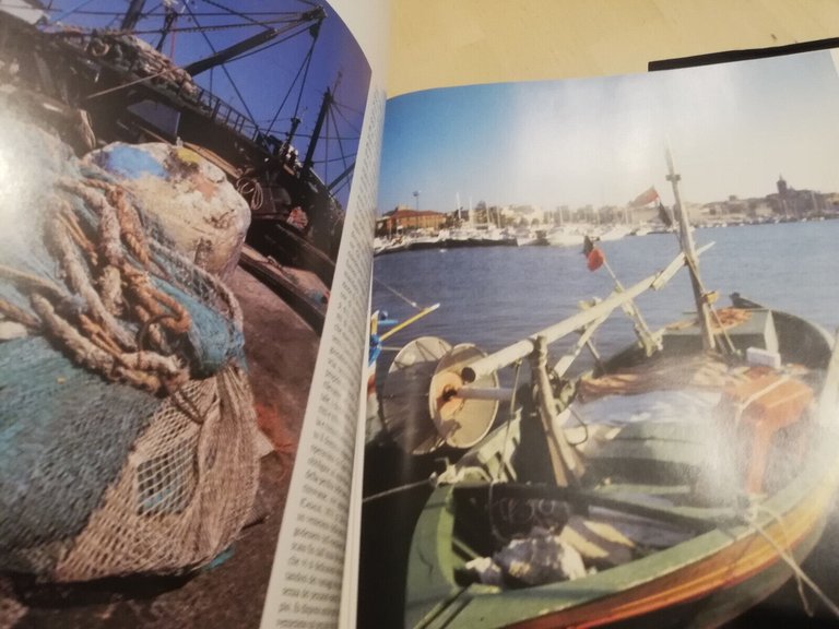 Falesie, grotte e praterie sommerse. Sassari, 1991, Amilcare Pizzi editore