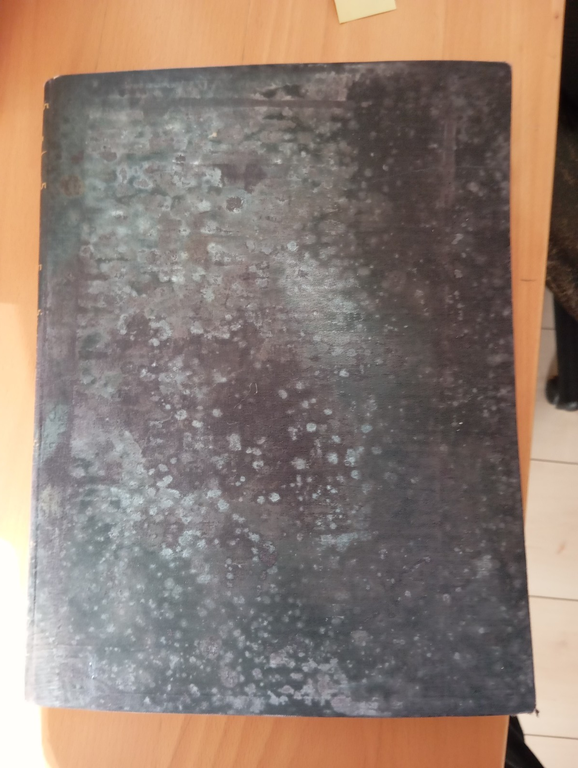 Felice Cavallotti, Arnaldo de Mohr, Carlo Aliprandi, 1899