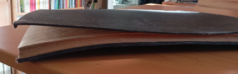 Felice Cavallotti, Arnaldo de Mohr, Carlo Aliprandi, 1899