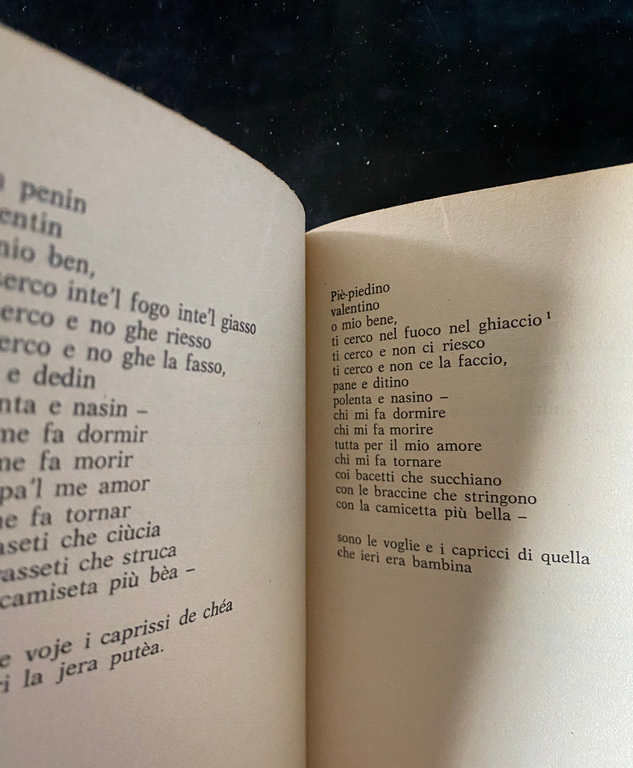 Filo' e altre poesie, Andrea Zanzotto, Lato Side Editori, 1981