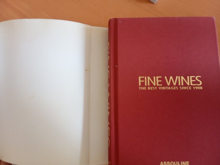 Fine wins The best vintages since 1900, 2009 | Immagine Gallery 7