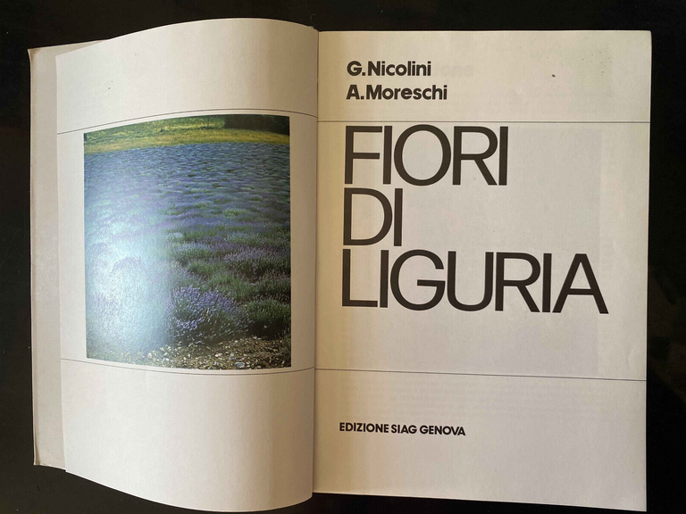 Fiori di Liguria, Nicolini - Moreschi, SIAG