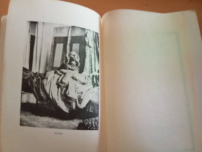 Flush vita di un cane, Virginia Woolf, Medusa Mondadori, 1934, …