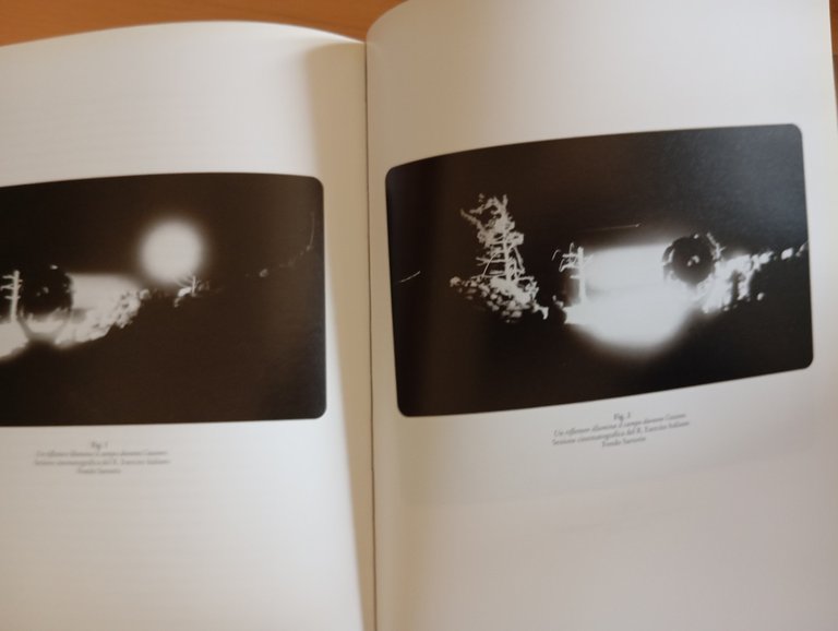Fotografie del Risorgimento Italiano, Vol. 1, Marco Pizzo, Gangemi Editore, … | Immagine Gallery 13