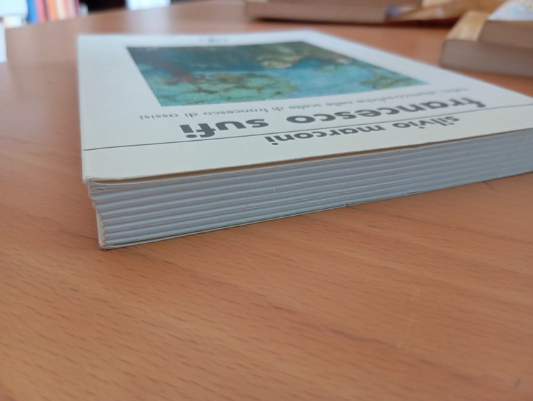 Francesco Sufi. Radici islamico-sufiche Francesco d'Assisi Silvio Marconi, 2008 | Immagine Gallery 3