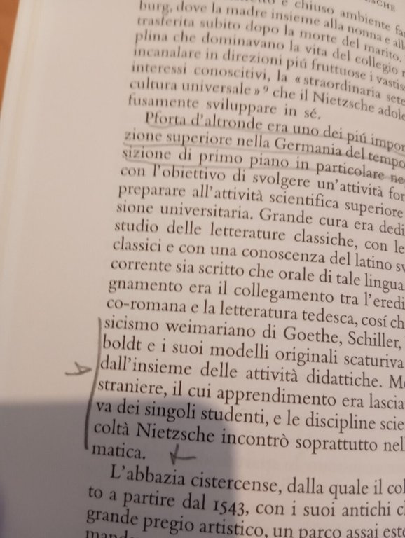 Friedrich Nietzsche, Behler - Venturelli, Salerno Editrice, 1994