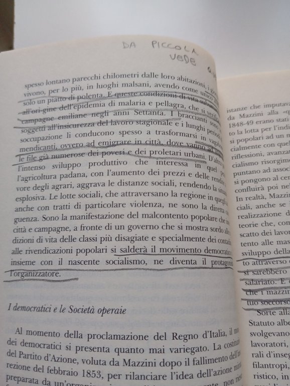 Fuori da un secolare servaggio. Vita di Argentina Altobelli, Nadia …