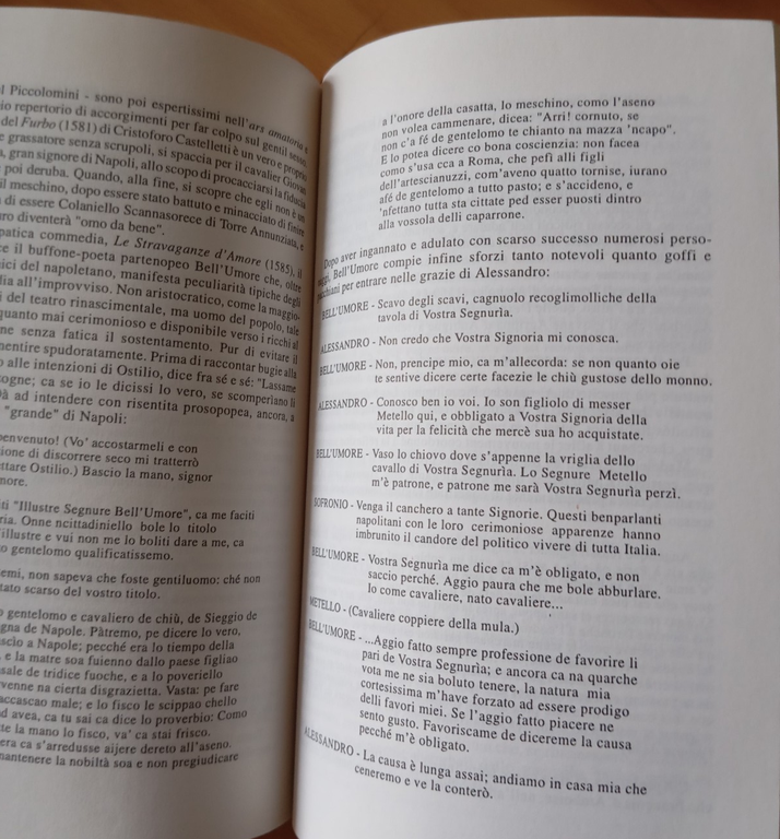 Furor et amor Uomini e temi nella letteratura europea, D. … | Immagine Gallery 10