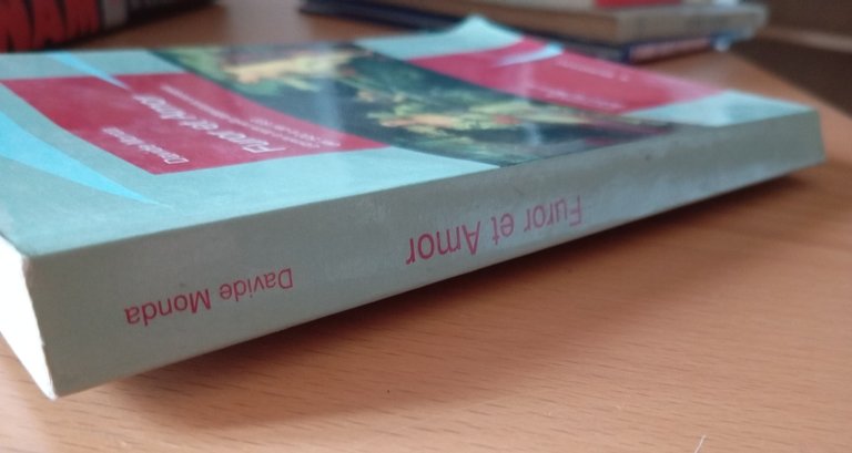 Furor et amor Uomini e temi nella letteratura europea, D. … | Immagine Gallery 3