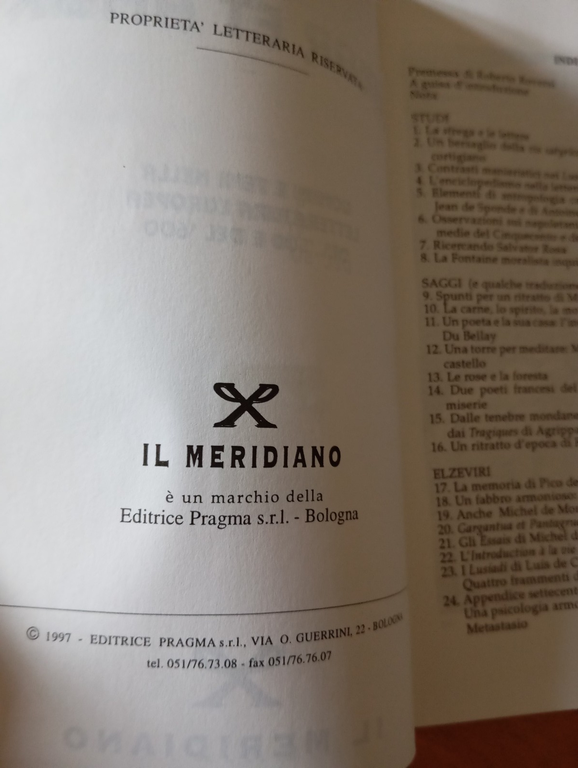 Furor et amor Uomini e temi nella letteratura europea, D. … | Immagine Gallery 8