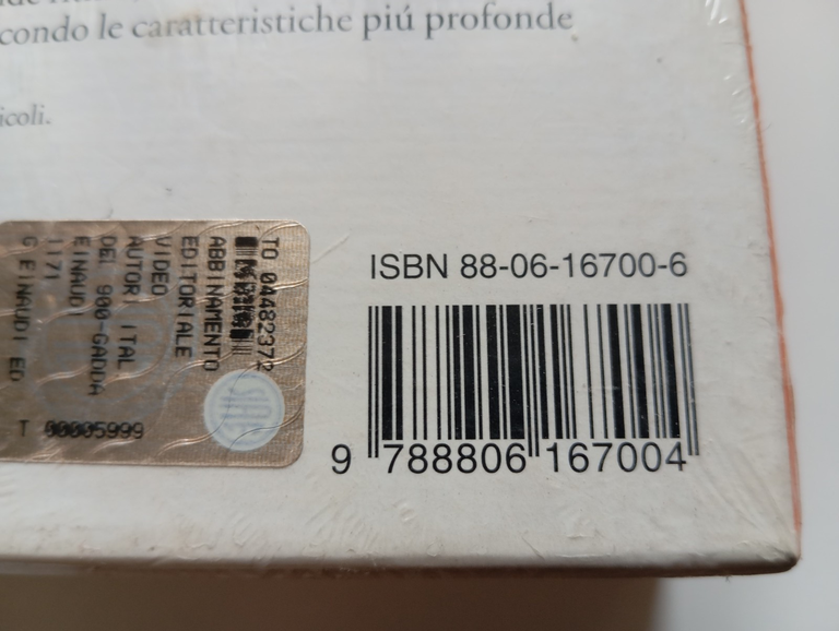 Gadda, Mauro Bersani, Einaudi, cofanetto con VHS