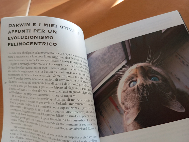 Gattoterapia. Gli esercizi, I. Sibaldi - L. De Tomasi - …