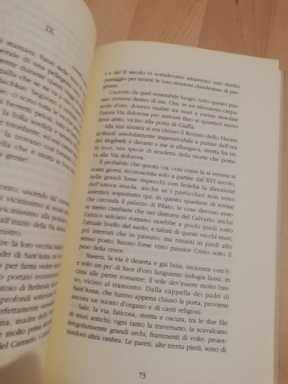 Gerusalemme, Pierre Loti, 1993, Ibis, Prefazione di Sergio Quinzio | Immagine Gallery 13