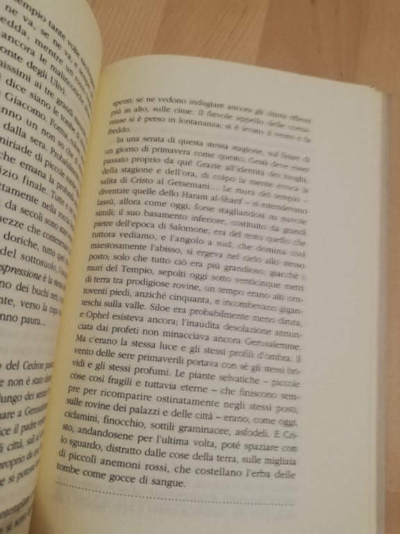 Gerusalemme, Pierre Loti, 1993, Ibis, Prefazione di Sergio Quinzio | Immagine Gallery 15
