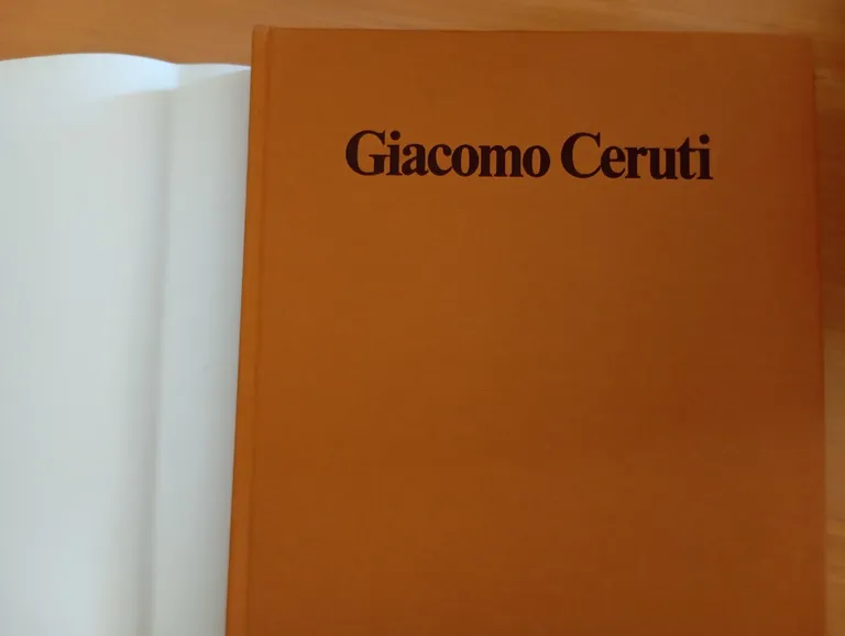 Giacomo Ceruti, Mina Gregori, Credito Bergamasco, 1982 | Immagine Gallery 6