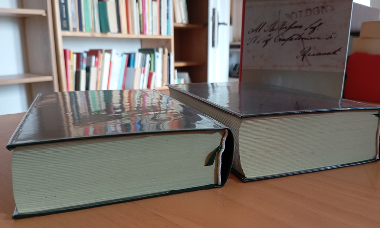 Giacomo Leopardi, Epistolario due volumi Brioschi Landi Bollati Boringhieri 1998 | Immagine Gallery 7