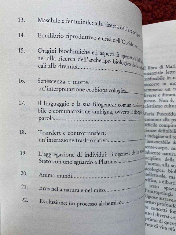 Gioco di specchi, Maria Pusceddu, Paolo emilio Persiani, 2006