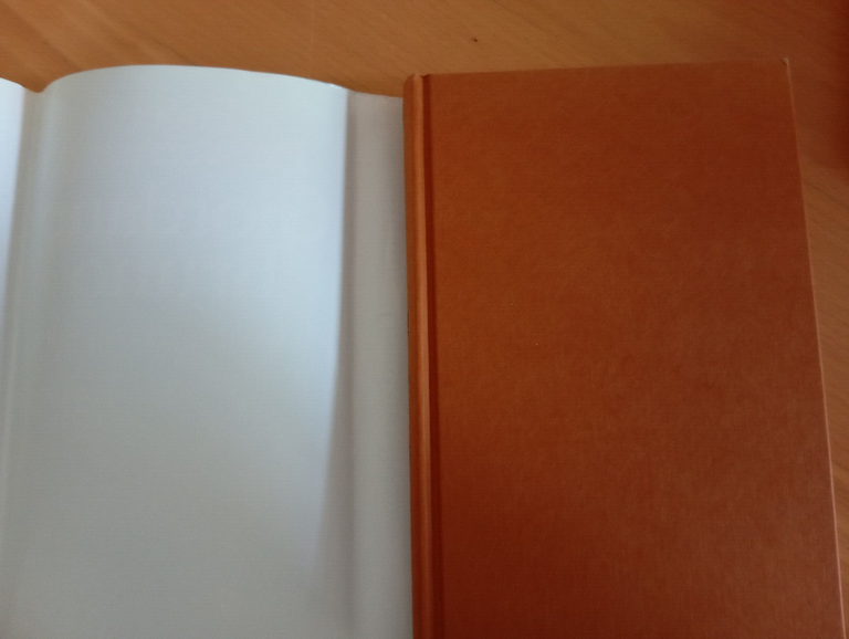 Giordano Bruno lo specchio dell'infinito, Eugen Drewermann, Rizzoli, 1994