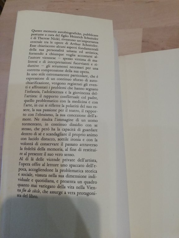 Giovinezza a Vienna, Arthur Schnitzler, Studio Tesi, 1989