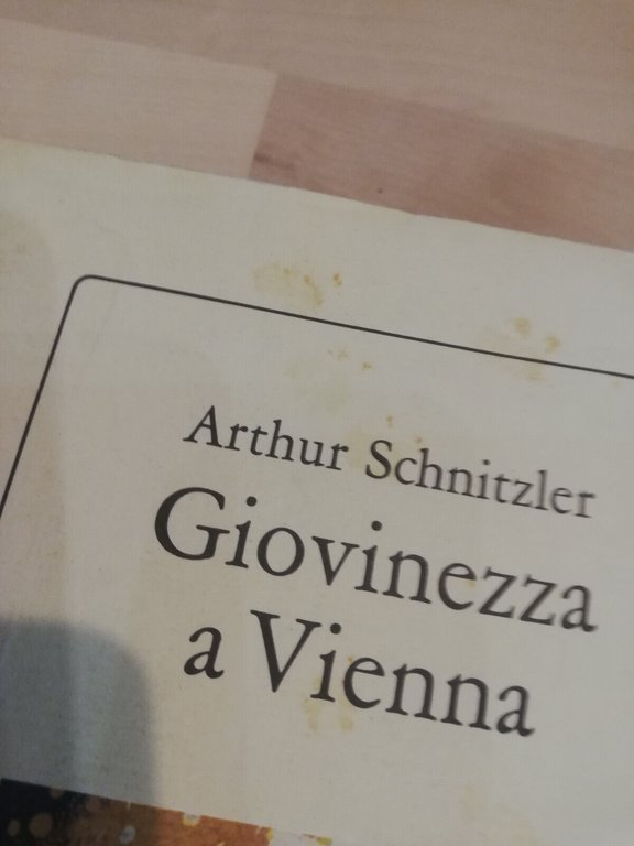 Giovinezza a Vienna, Arthur Schnitzler, Studio Tesi, 1989