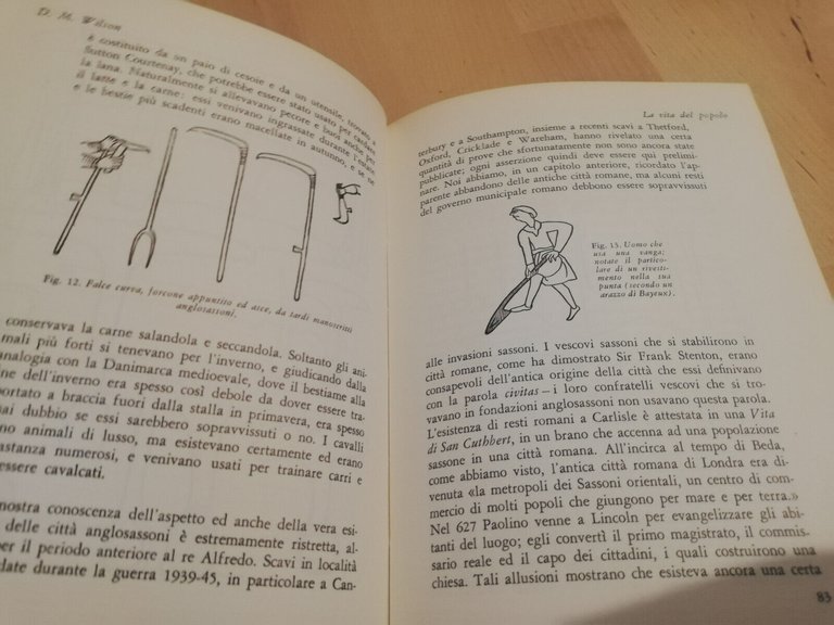 Gli anglosassoni, D. M. Wilson, 1962, Il Saggiatore