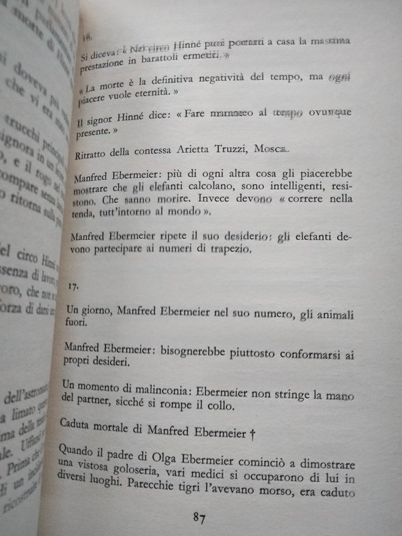 Gli artisti sotto la tanda del circo: perplessi, Alexander Kluge, …