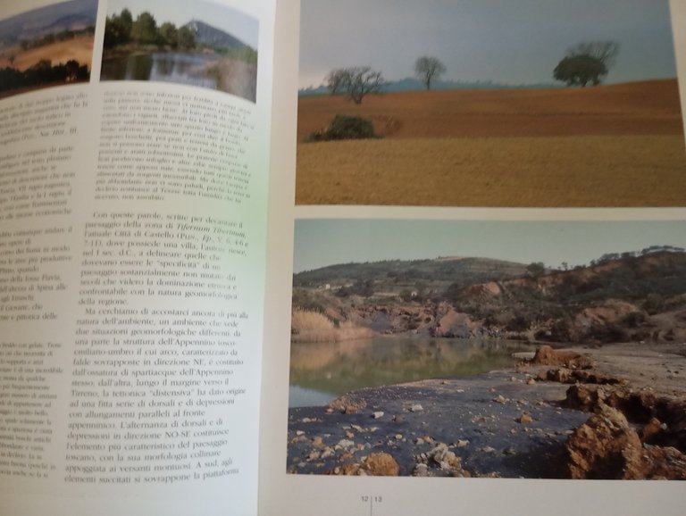 Gli Etruschi e il loro ambiente, Gallina - Malnati, Maria … | Immagine Gallery 7