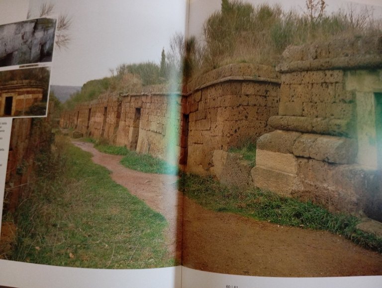 Gli Etruschi e il loro ambiente, Gallina - Malnati, Maria … | Immagine Gallery 8