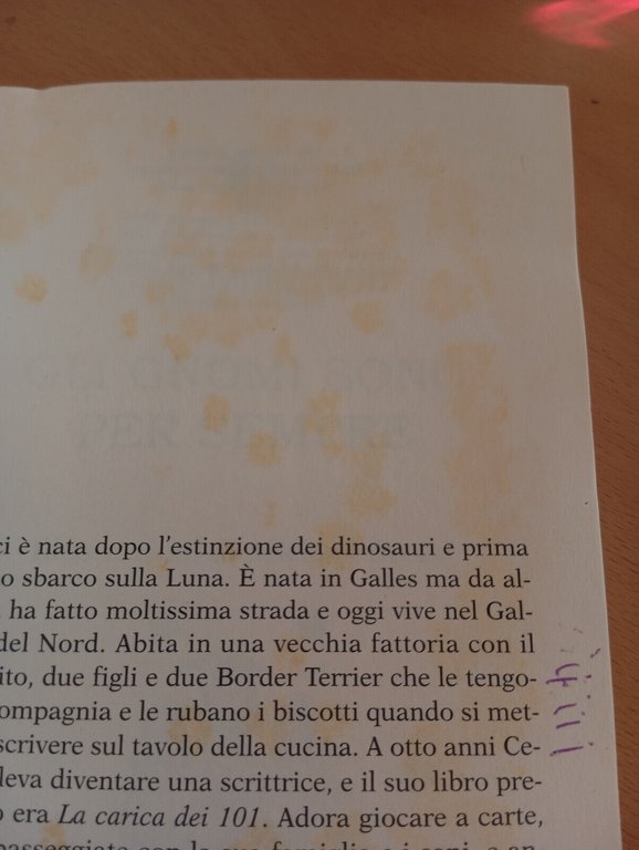 Gli gnomi sono per sempre, Ceci Jenkinson, Salani, 2011