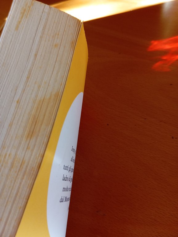 Gli gnomi sono per sempre, Ceci Jenkinson, Salani, 2011 | Immagine Gallery 14