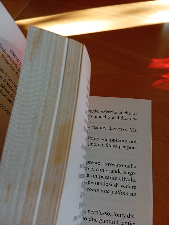 Gli gnomi sono per sempre, Ceci Jenkinson, Salani, 2011 | Immagine Gallery 16