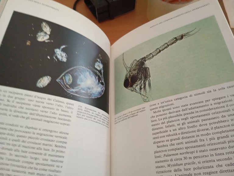 Gli invertebrati, Garzanti, I libri della natura, 1982